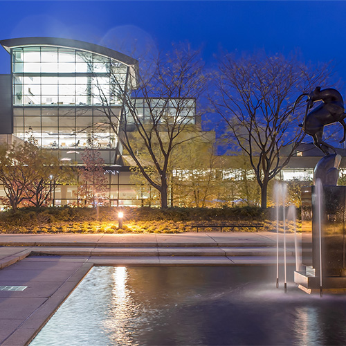 August 2021 About the Library - Mobile